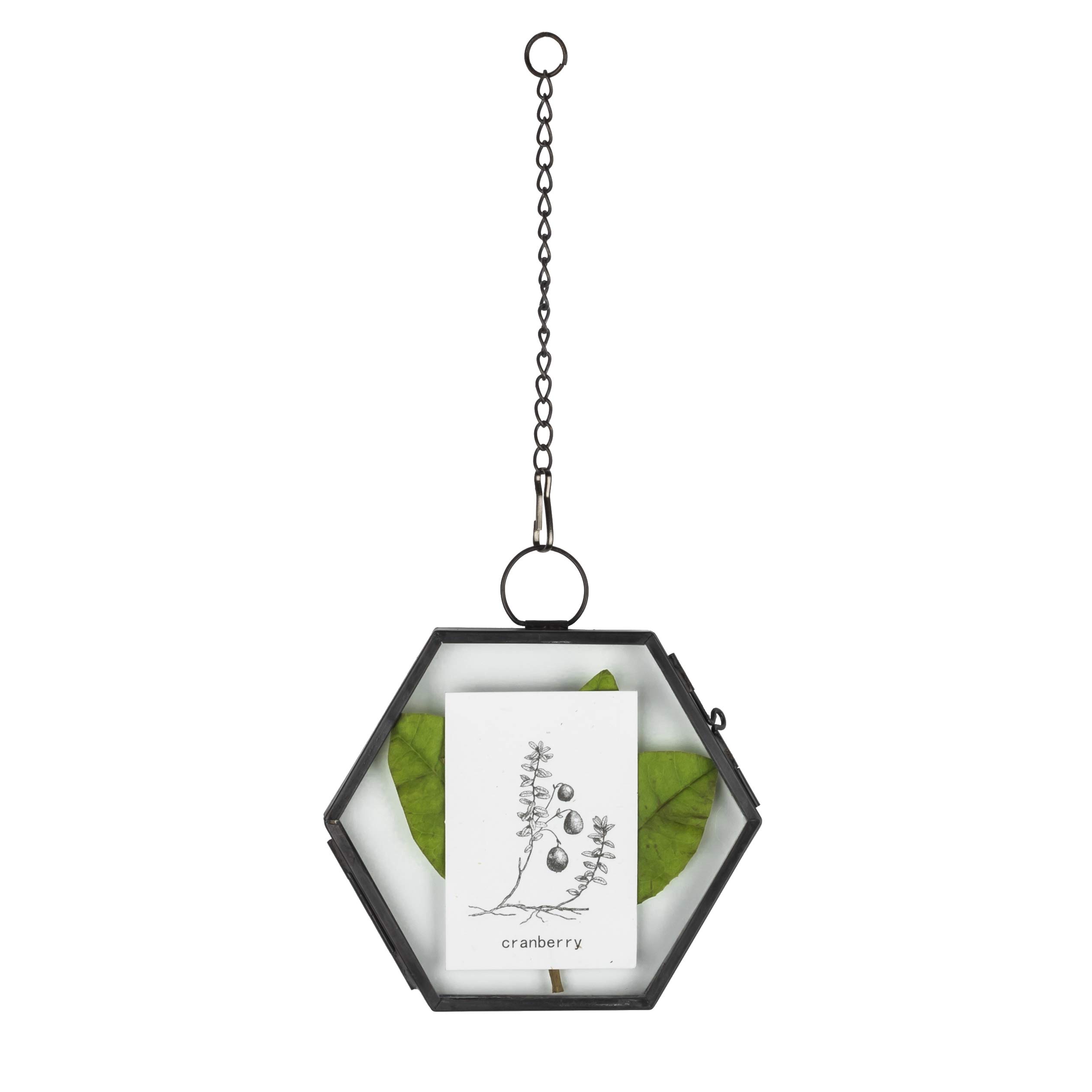 Geometric Hexagonal Glass Display Frame - Hanging Copper & Glass Specimen Holder For Dried Flowers - View #8