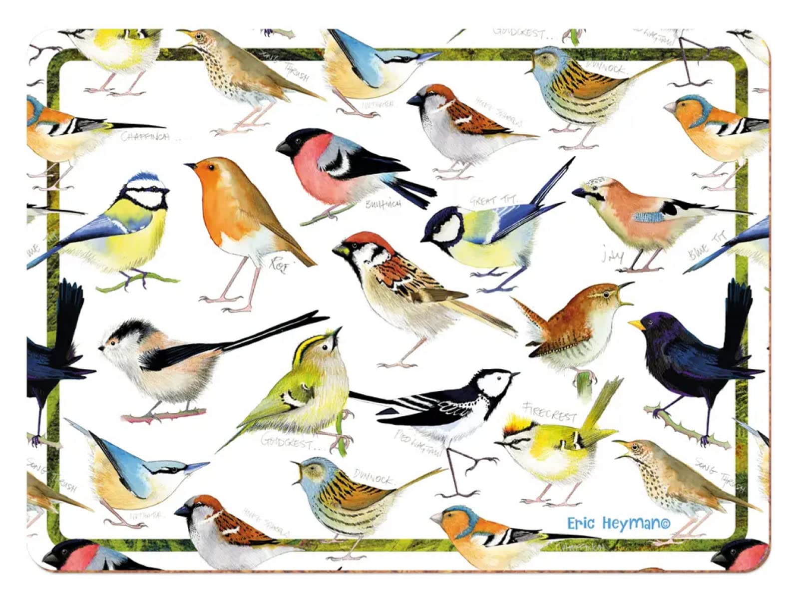 British Birds Placemats - Set of 4