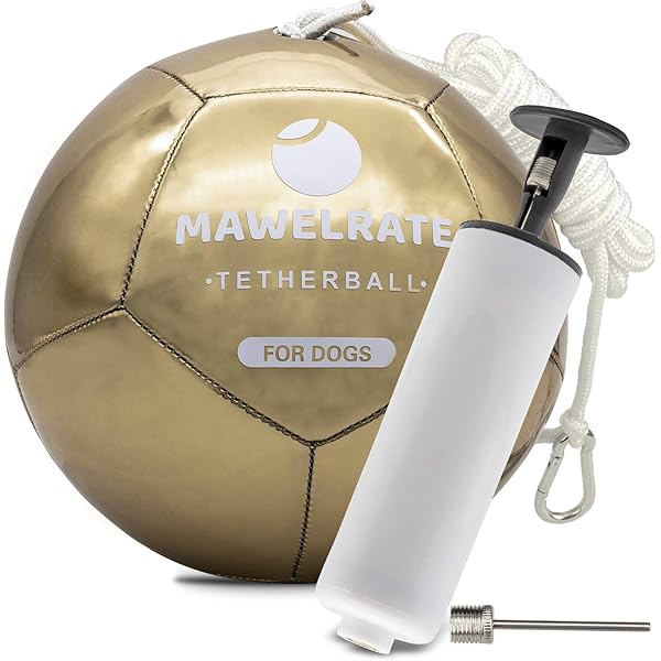 tetherball set for dogs
