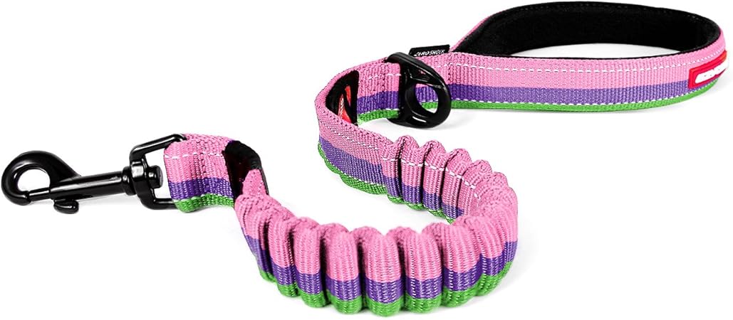 best shock absorbing dog lead