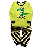EULLA Toddler Boys Cotton Pjs Cute Dinosaur Pajama