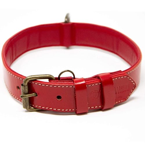 Amazon Leather Dog Collars For Large Dogs One-of-a-Kind' FDT