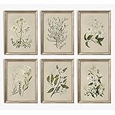 Vintage Botanical Wall Art Set of 6 Neutral Floral Canvas Wall Decor Wildflower Wall Art Watercolor Flower Prints Botanical P