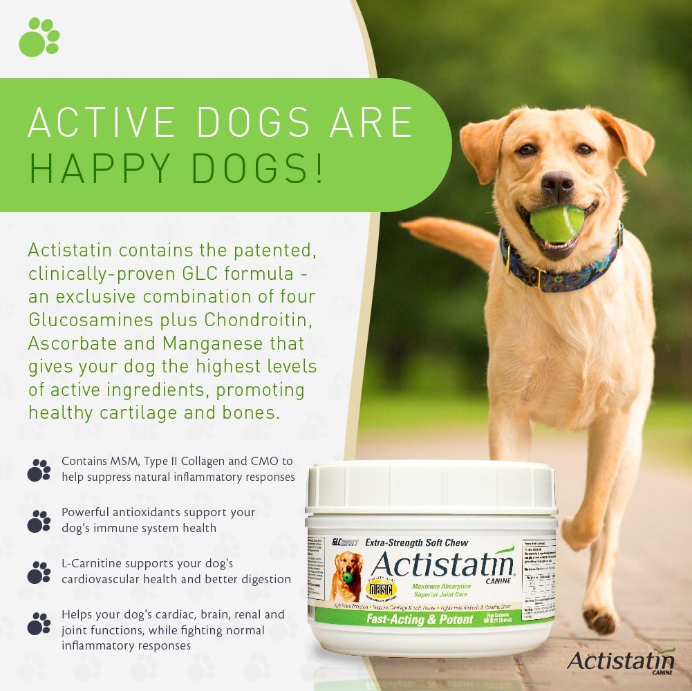 actistatin canine