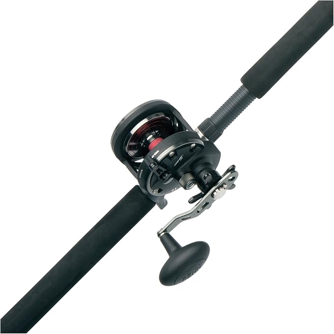 Amazon.com : PENN Warfare Star Drag Combo : Sports & Outdoors