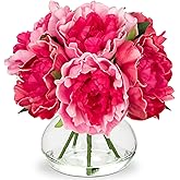 Hollyone Peonies Artificial Flowers with Vase Hot Pink Faux Flowers Peony Fake Flowers Silk Flower Arrangements in Glass Vase with Faux Water for Home Decor Bathroom Table Centerpiece Decorations