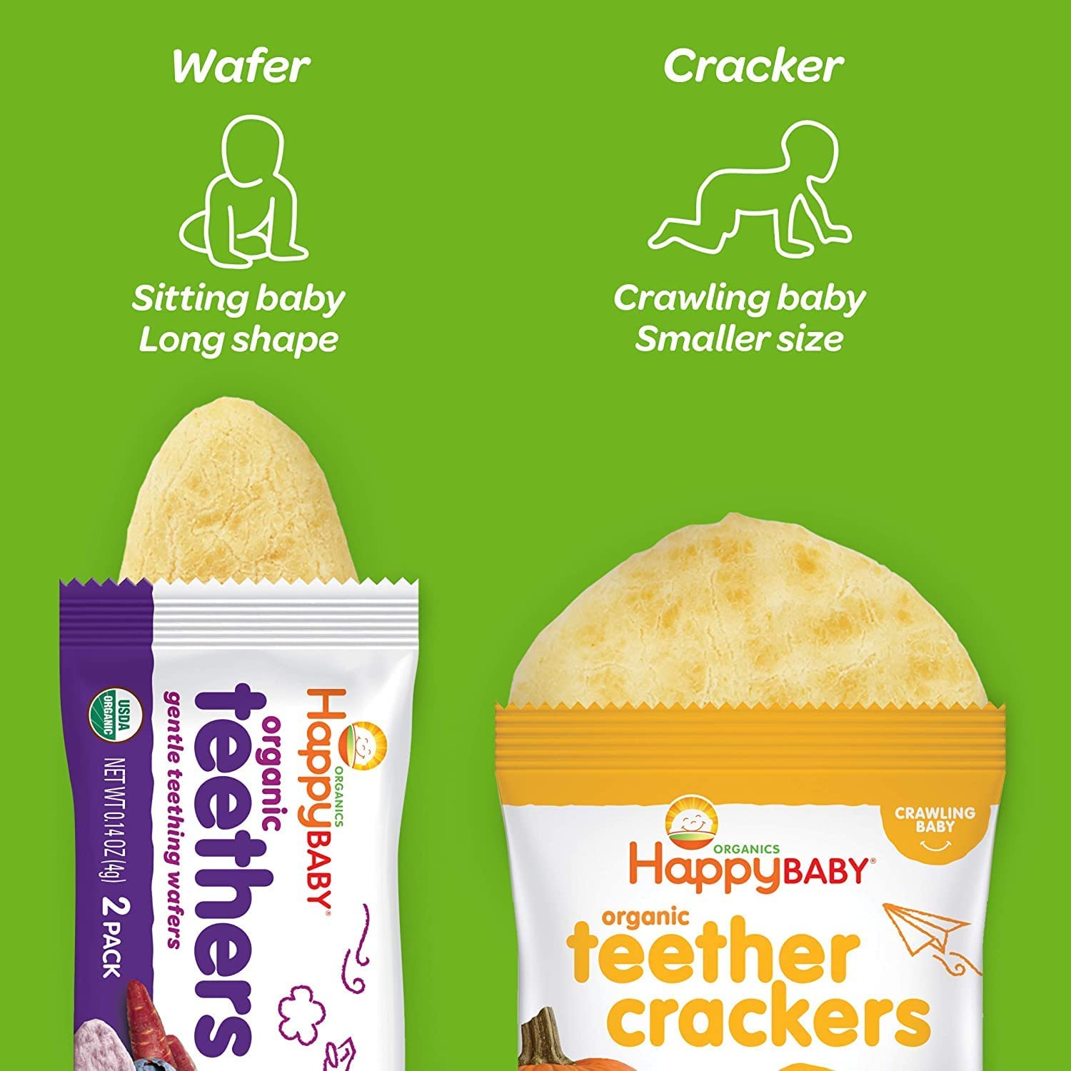 Happy Baby Gentle Teethers Organic Teething Wafers Blueberry Purple Carrot, 0.14 Ounce Packets (Box of 12) Soothing Rice Cookies for Teething Babies Dissolves Easily, Gluten Free No Artificial Flavor