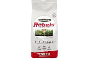 Pennington The Rebels Tall Fescue Shady Grass Seed Mix 7 lb