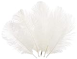Sowder 6-8inch(15-20cm) Ostrich Feathers Plume for