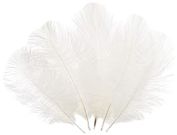 Sowder 6-8inch(15-20cm) Ostrich Feathers Plume for