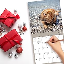 2025-2026 Wall Calendar,Shar Pei Wall