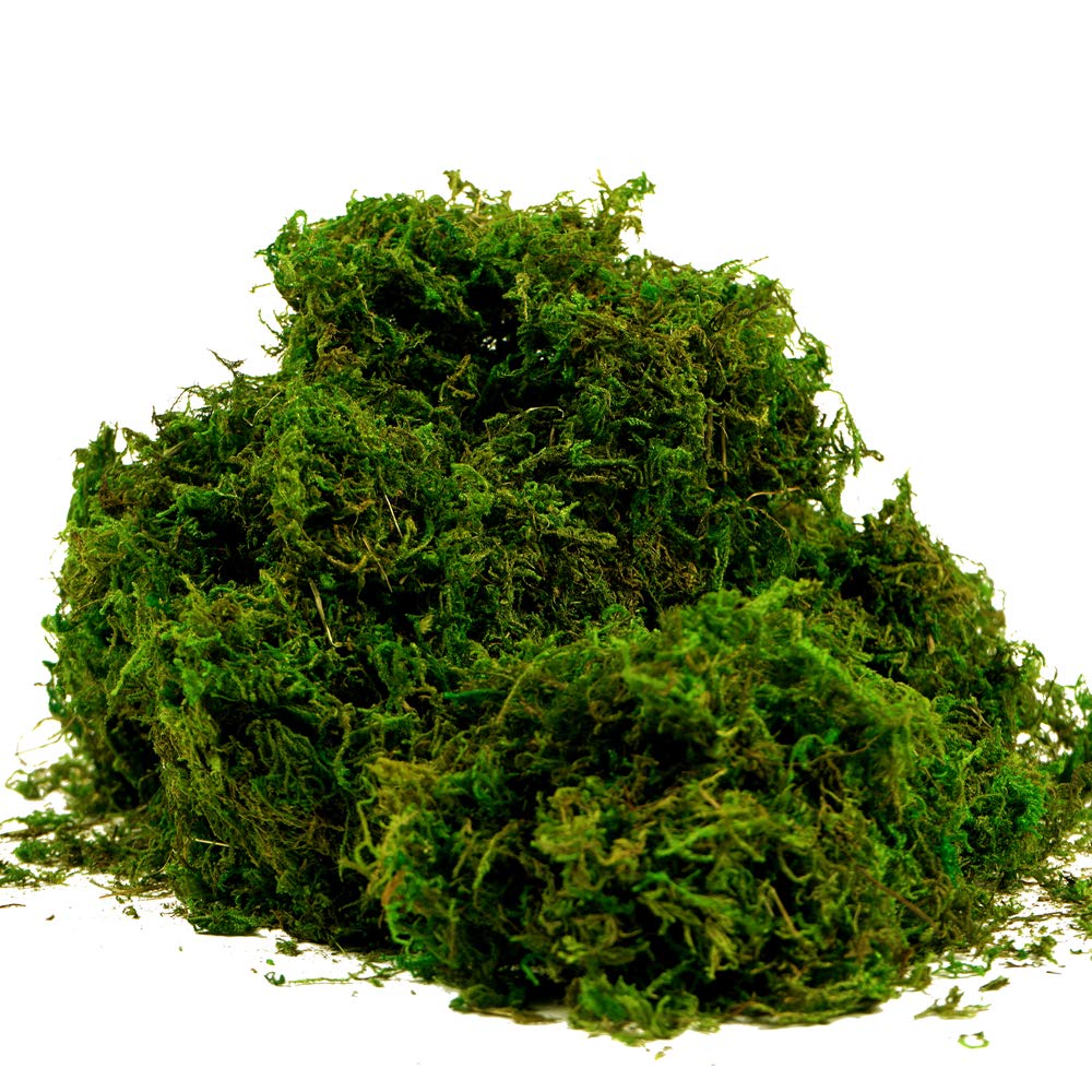 BYHER Artificial Moss Fake Green Grass for