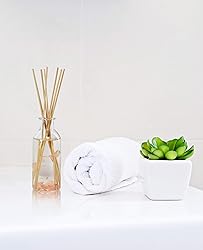 Urban Naturals Moonlit Petals Reed Diffuser Oil Set