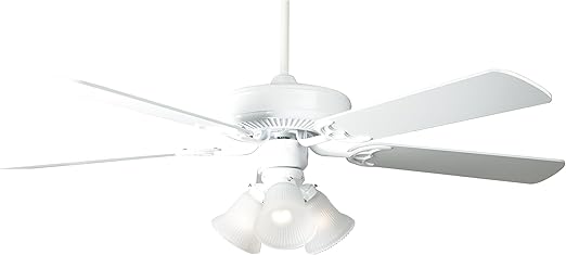 Concord Fans 52ha5ewh Protruding Mount 5 White Blades Ceiling Fan