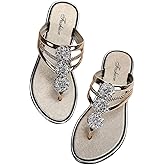 Floerns Women's Flat Sandals Flip Flop Sandals Summer Slip on Dressy Thong Sandal
