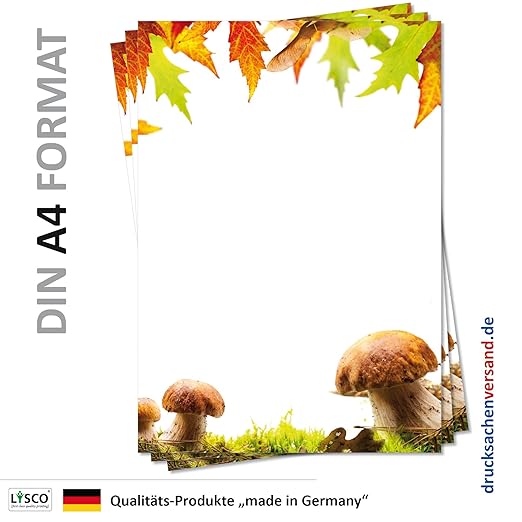 Motiv Briefpapier (Herbst-5128, DIN A4, 25 Blatt) grün braun herbstliche Waldwiese mit Steinpilzen und buntes Ahorn-Laub Gras
