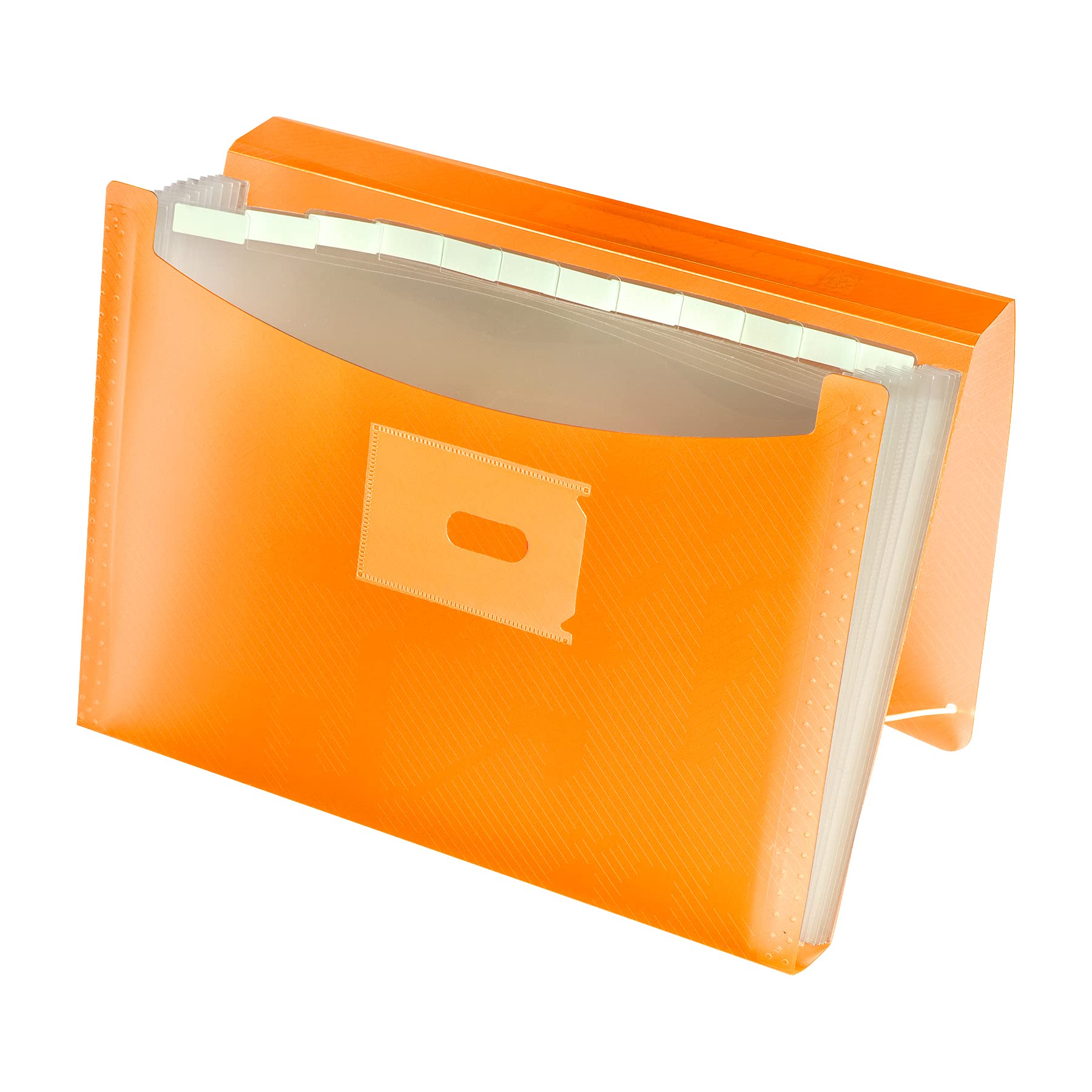 Oxford, Accordion Folder A4+, Translucent Plastic Cover, 13 Pockets, Orange