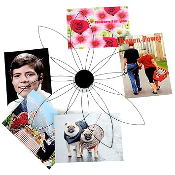 HAB & GUT (CR016V) Kartenhalter BLUME, Fotohalter mit Saugnapf zum Befestigen, schwarz