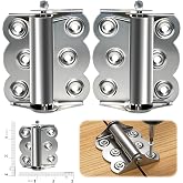2 Pack Heavy Duty Self-Closing Spring Hinges for Screen Doors, Stainless Steel Silver Exterior Door Hinges, Automatic Close Gate Hinge for Storm Wood Fire Doors with 12 Screws (Classic Fixed Tension)