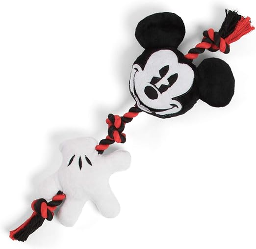 long haired silver dapple dachshund