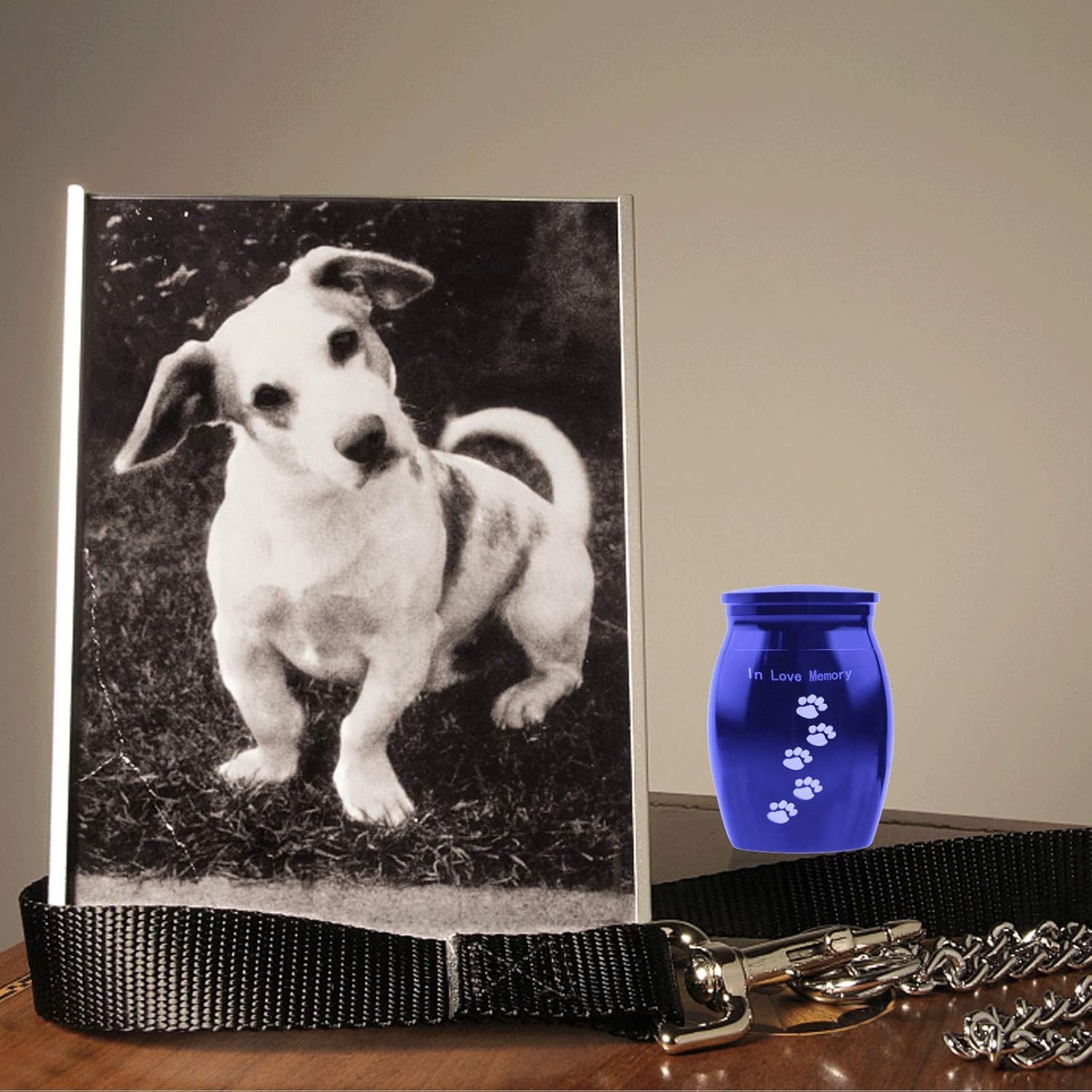 pet memorial with ashes
