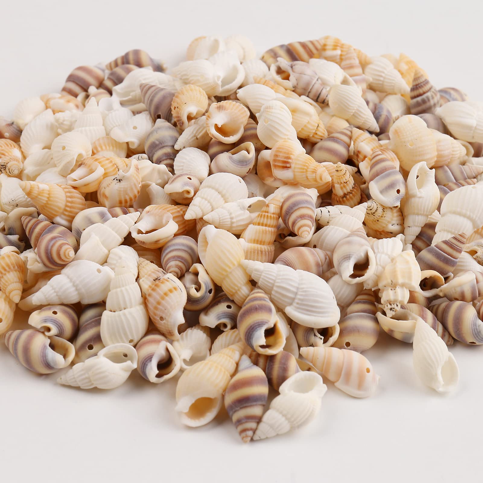 HERZWILD 135g Shell BeadsShells Craft Shells with Holes 18-21 mm. Ideal for Crafts, Decoration or Jewellery Making (Mix 135)