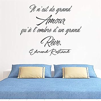 Decal Art Mural Home French Quote Il N Est De Grand Amour Qu A L Ombre D Un Grand Reve Living Room Bedroom Wall Decals Decor Vinyl Sticker Sk Amazon Ca Tools Home Improvement