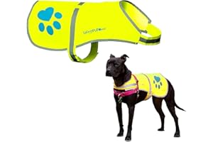 SafetyPUP XD Dog Reflective Vest – Hi-Vis Fluorescent Visibility That Helps to Safeguard Your Pet On/Off Leash in Urban & Rural Areas (Yellow, Large)