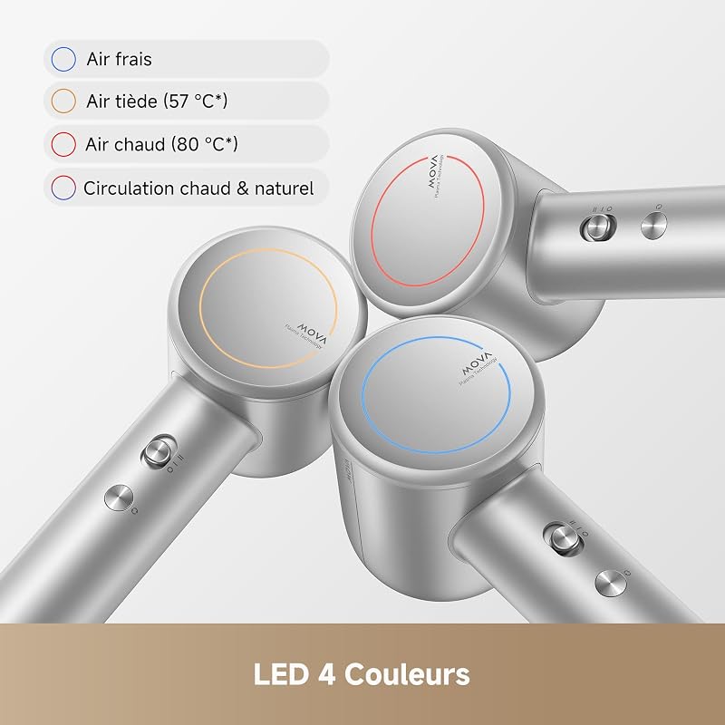 Sèche-Cheveux Shine 10 Argent
