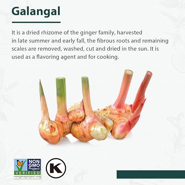 SOEOS GALANGAL SLICES 6 OUNCES, NON-GMO VERIFIED, KOSHER, GREAT GALANGAL – ALPINIA GALANGA, PERFECT FOR TOM YUM AND TOM KHA SOUPS, AUTHENTIC PRODUCT OF VIETNAM, SLICED DRIED GALANGAL ROOT, 6OZ.