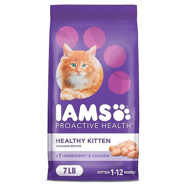 IAMS PROACTIVE HEALTH DRY FOOD FOR CATS –...