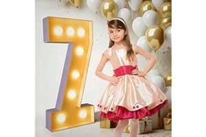 PRELIFE MEMORY 3FT/36 Inch Light Up Marquee Number 0-9, White Frame KT Board Plug-in KT Board With Bracket Warm LED Party Decorative Light Decoration For Birthday Party Anniversary (NUMBER 7)