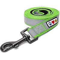 Pawtitas 6 FT Padded Dog Leash with Comfortable Neoprene Padding Handle - Green Lead | Medium Reflective Dog Leash with Highl