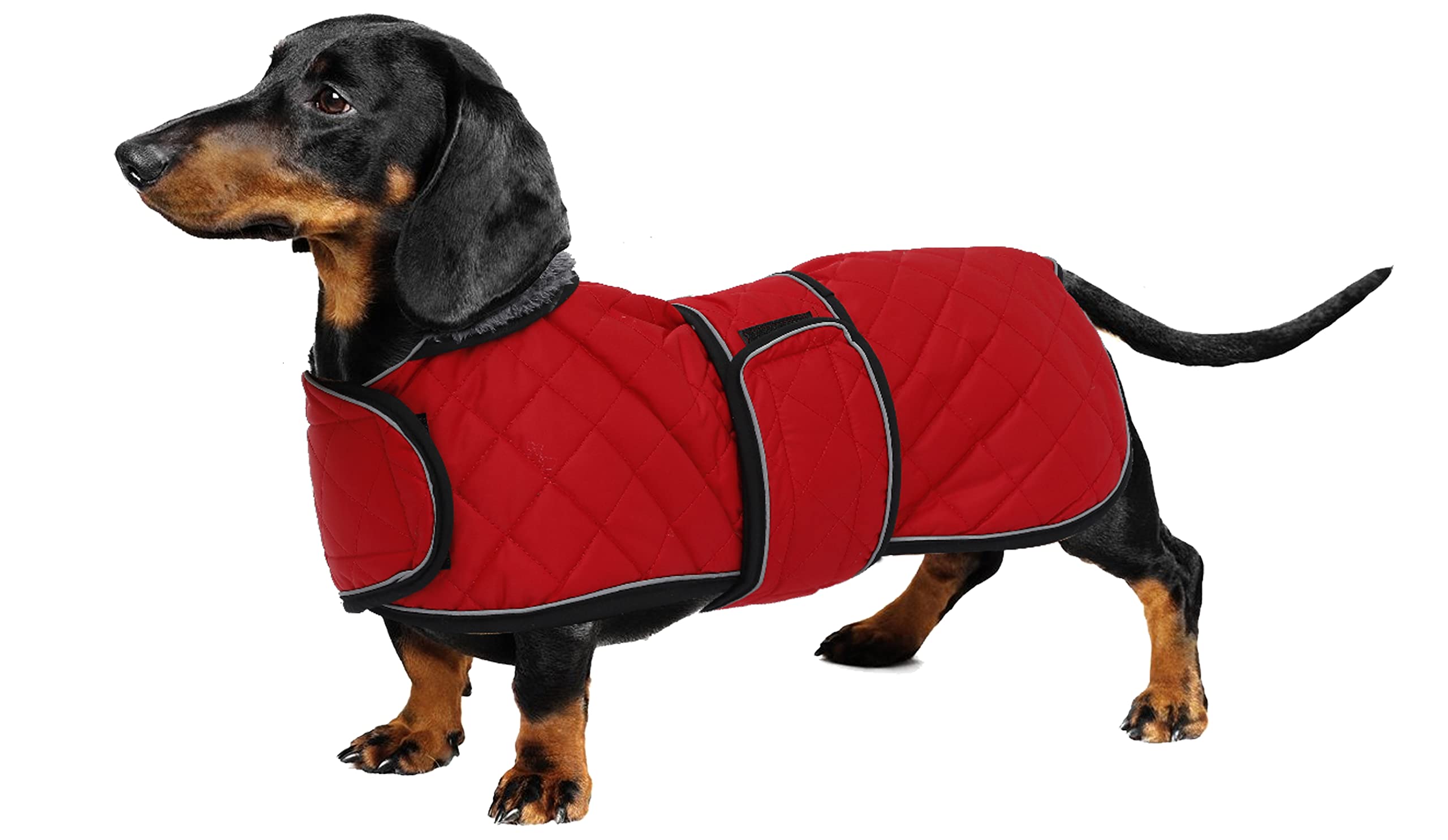 Geyecete Warm Thermal Quilted Dachshund Coat, Dog Winter Coat with Warm Fleece Lining, Outdoor Dog Apparel with Adjustable Bands-Red-M