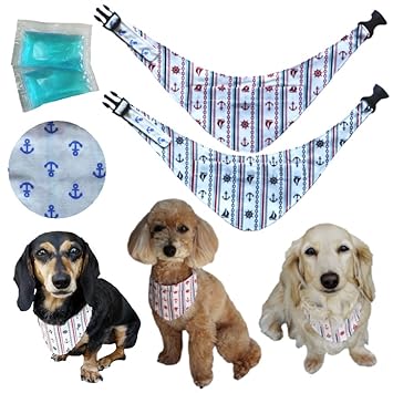 Amazon ダックス 小型犬用 保冷剤で冷やす ひえひえプレミアム