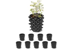 RooTrimmer 1 Gallon Air Pruning Containers, New Plastic Nursery Pots, Fruit Vegetable Garden Self-Planting Pots, Black (1G-10P)
