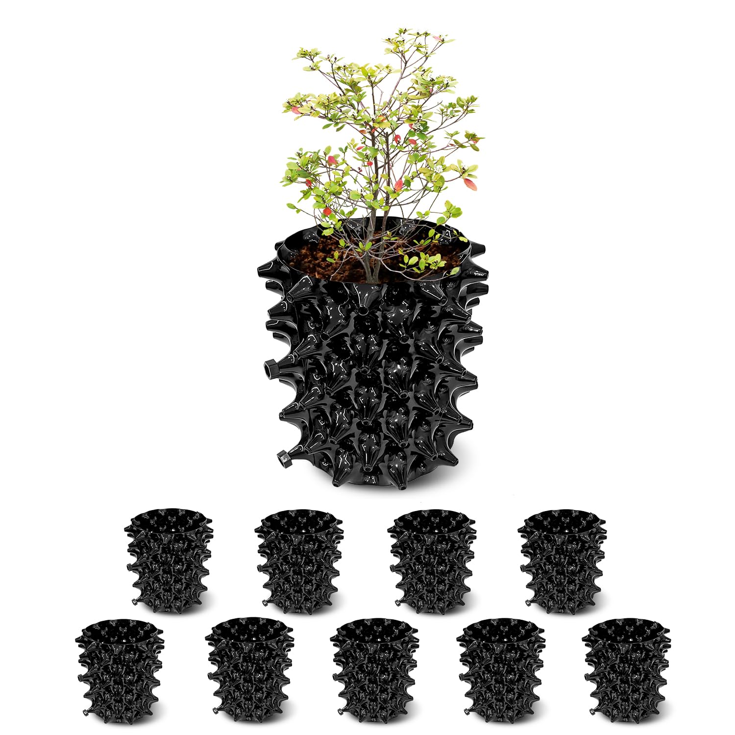 Photo 1 of RooTrimmer 1 Gallon Air Pruning Containers, New Plastic Nursery Pots, Fruit Vegetable Garden Self-Planting Pots, Black (1G-10P)