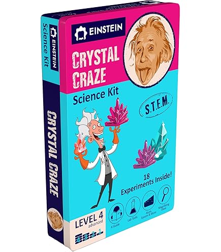 Albert Einstein Science Experiment Box Einstein Box Experiment