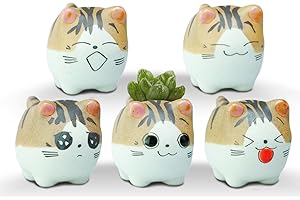 VanEnjoy Original Design Handmade Mini Cute Cartoon Ceramic Succulent Pots Planters Cat, with Drainage Hole, Flower Pot, Ceramic Ornaments Cat Gifts for Cat Lovers Office - Pack of 5