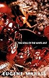 The Soul of the White Ant