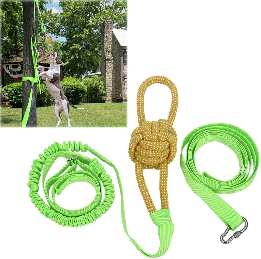 Hanging Bungee Dog Toy Interactive Dogs Toys Rope Tug of War Toys for