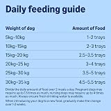 by Amazon Dog Food Paté with Beef 300g Pack of 20 Lifelong view 5