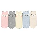 Women's Cool Animal Fun Crazy Socks (Squirrel 5 Pairs)