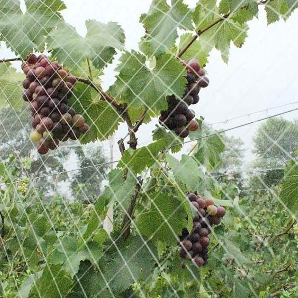 Ruber Malla de Ciervo para Plantas, Estanque de Piscina, pájaros ...