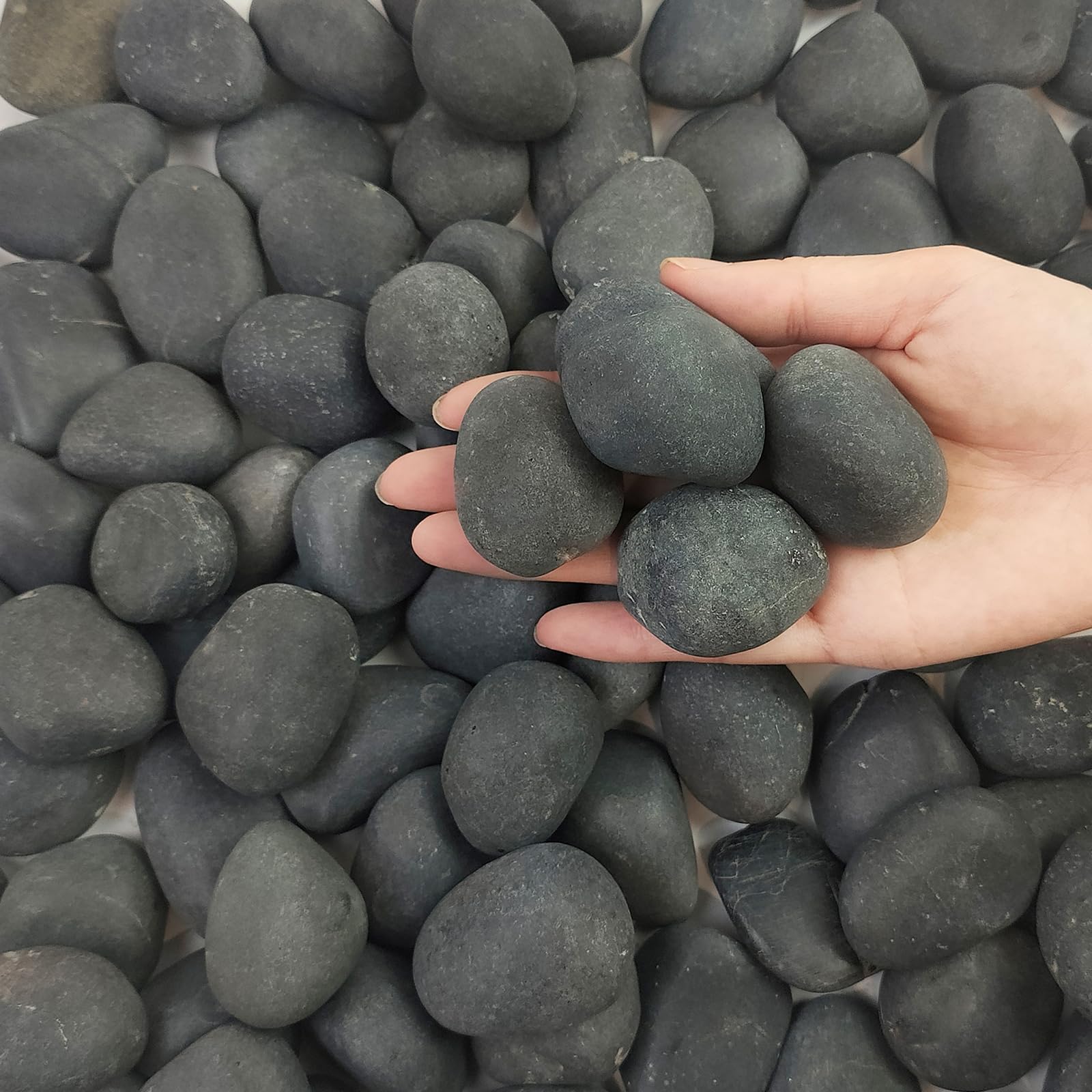 FANTIAN 4.5 kgs Black Stones for Garden,2-4 cm Beach Cobbles. Decorative Black Pebbles for Plant Pots, Ponds, Water Features, Aquarium, Borders and Ground Cover
