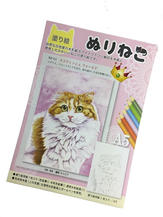 Coloring hamster pages cute hamtaro kids printable girly animals hamsters sheets kaylee print para colorir funny animal kawaii choose board Amazon | 塗り絵 ぬりねこ NE-01 スコティッシュフォールド 磯野キャビア A5 | ぬりえ | おもちゃ