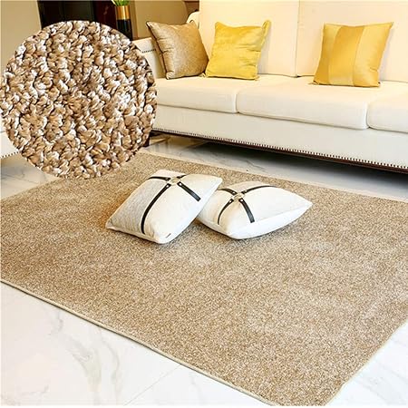 Amazon.com: QIANBAOBAO Modern Minimalist Non-Slip Carpet, Living Room