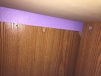 Review Image by Ron Ron