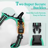 rabbitgoo Dog Harness Small No Pull Reflective Adjustable Vest Black Mintgreen view 4