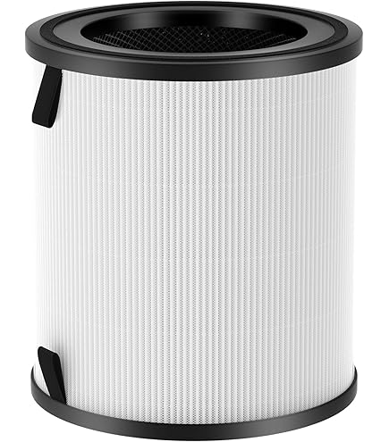 PUREBURG Vervangingsfilter compatibel met LEVOIT Core 300